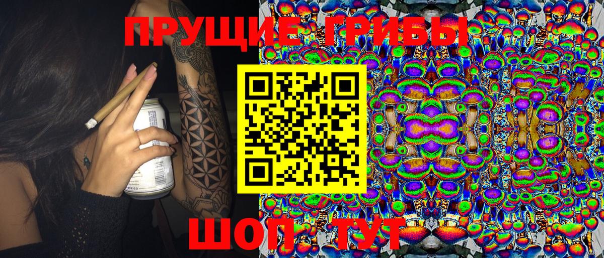 Мурманск  Псилоцибиновые грибы Magic Shrooms  Вход с VPN 