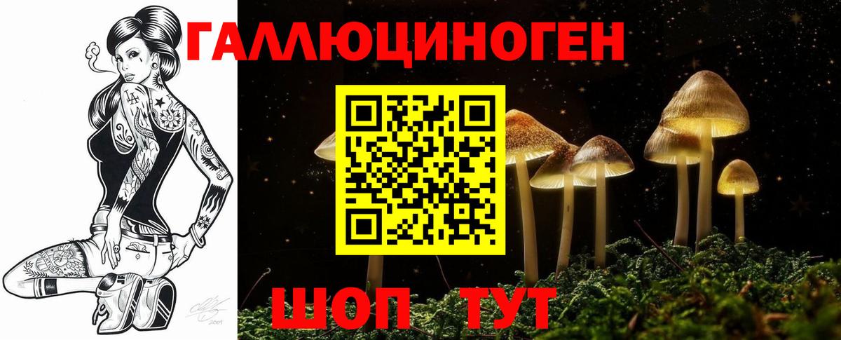 Псилоцибиновые грибы прущие грибы Мурманск
